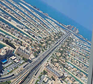 The View at the Palm