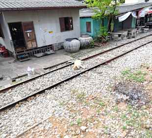 Auf der Fahrt nach Mahachai