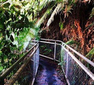 Blue Mountains National Park