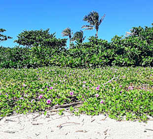 Stadtstrand Kenting City