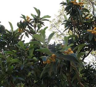 Vor der dem schönen Bahnhof ist ein hübscher Park 