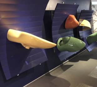 Erlebniszentrum von Villeroy & Boch