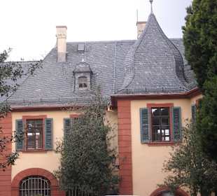 Schlosspark Weinheim