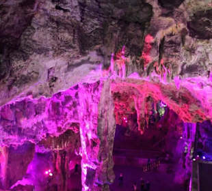 Ausflug nach Gibraltar 