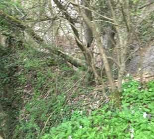 Wanderung rund um das Rusenschloss Gerhausen