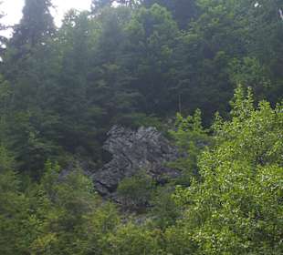 Parcul Natural Apuseni