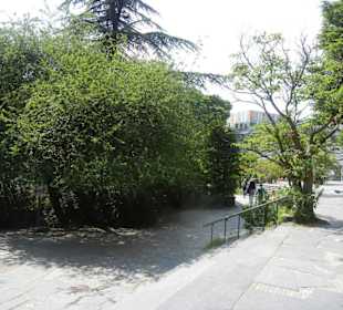 Parkanlage Planten un Blomen