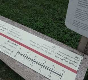 Dinosaurier Museum Altmühltal