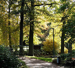 Herbstspaziergang durch den Bürgerpark Bremen