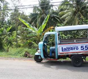 Anfahrt mit dem TucTuc