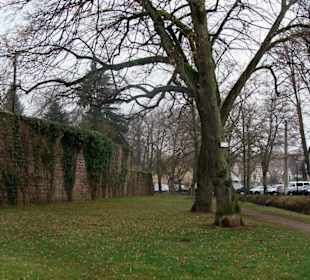 Stadtmauer