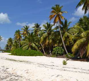 Die Insel ist ein Traum 