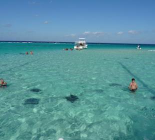 Stingray City