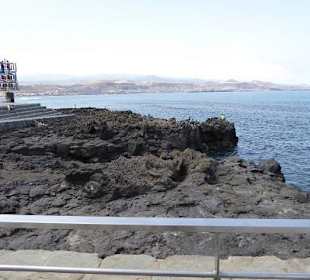 Las Palmas Gran Canaria 2014  