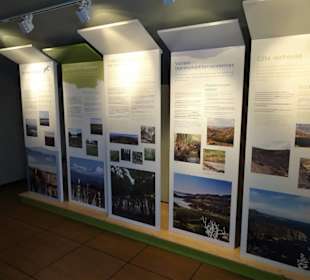 Forschung und Ausstellung im Jardin Méditerranéen