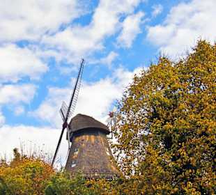 Старая мельница