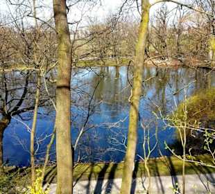 Der Schwanenweiher