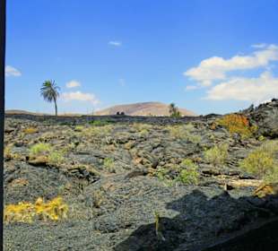 Der bekannte Blick aus dem Lavaraum