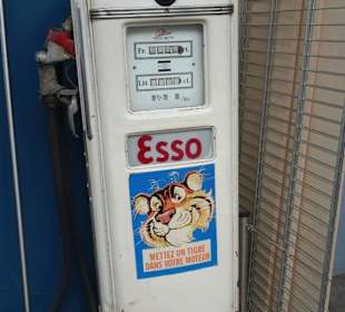 Rundgang durch die Ausstellung