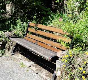 Bänke im Historischen Bauerngarten