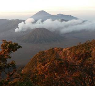 Mt. Bromo