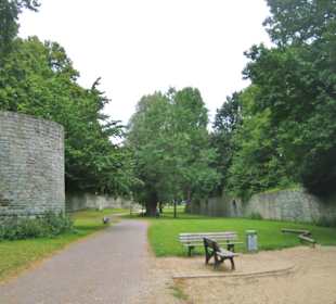Zurück durch die Wallanlage beim Osthofentor