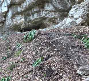 Wolfsschlucht