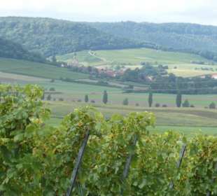 Auf dem Rundwanderweg TraumRunde Castell