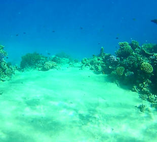 Eingang vom "Hausriff"