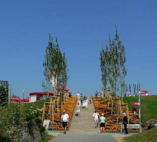Blick zur Holzbrücke