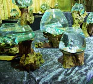 In Stallung Verkaufstände Glas auf Holz super