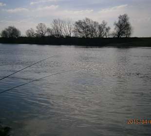 Cloudy morning on the river
