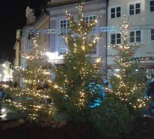 Weihnachtsbäume in der Fußgängerzone