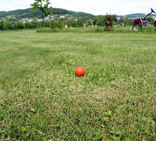 Fokus auf den Ball