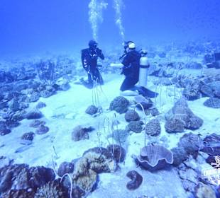 Tauchen in Koh Chang