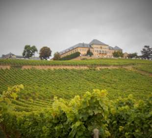 Schloss Johannisberg