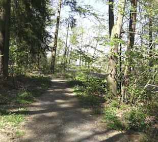 Wanderweg Hochgehwachsen