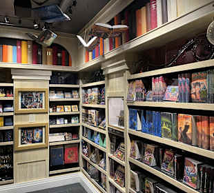 Harry Potter New York Store