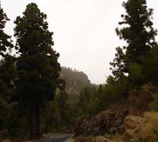 Auf dem Weg zum Nationalpark