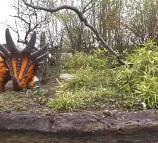 Land der Abenteuer - Dschungel X-pedition