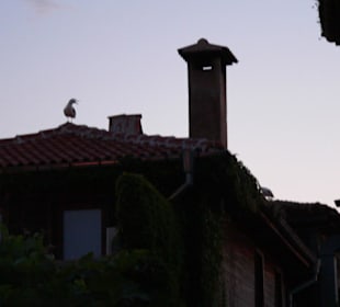 Eindrücke von Nessebar