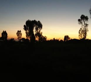 Uluru