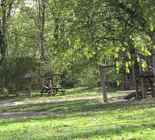 Unterer Schlossgarten Stuttgart