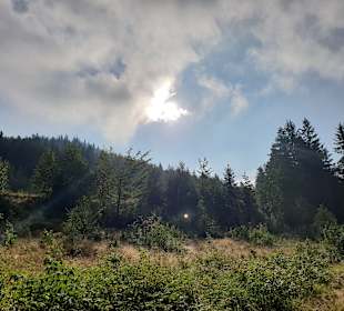 Wandern Chełmsko Śląskie / Schömberg