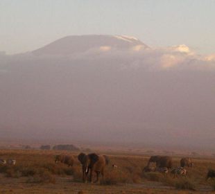 Amboseli Nationalpark
