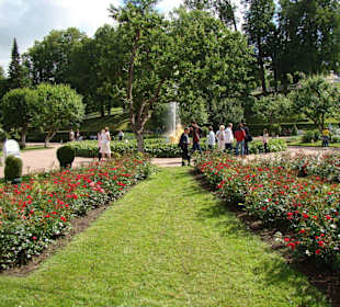 Zentaurenbrunnen an der Orangerie in Peterhof