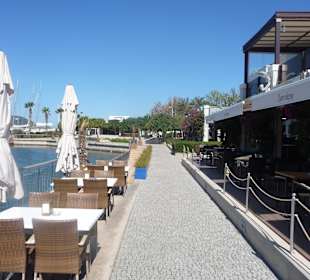 D-Marin Turgutreis...