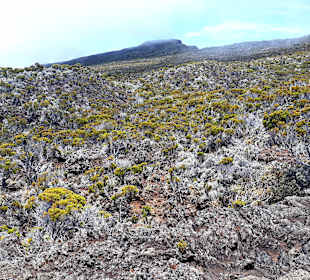 Wandern am Piton de la Fournaise