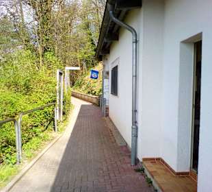 Schlossberghöhlen in Homburg