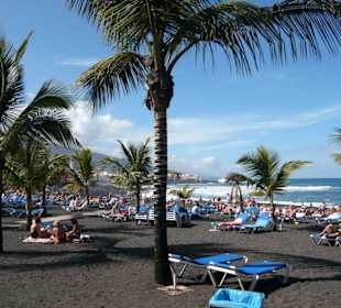 Playa Jardin